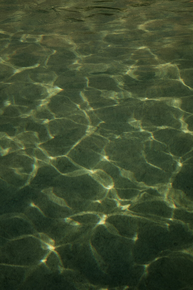rzepakowe